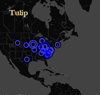 Mapping Gracie Mitchell’s Patterns in the 19C